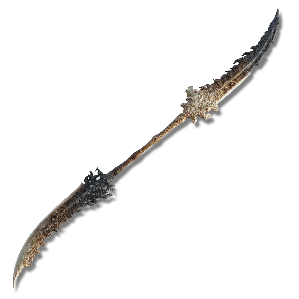 Euporia