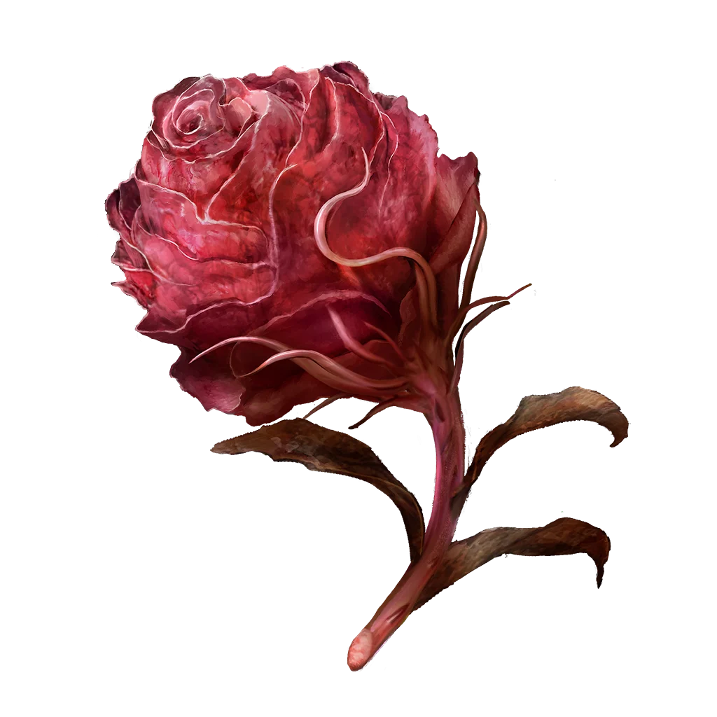 Scarlet Bud