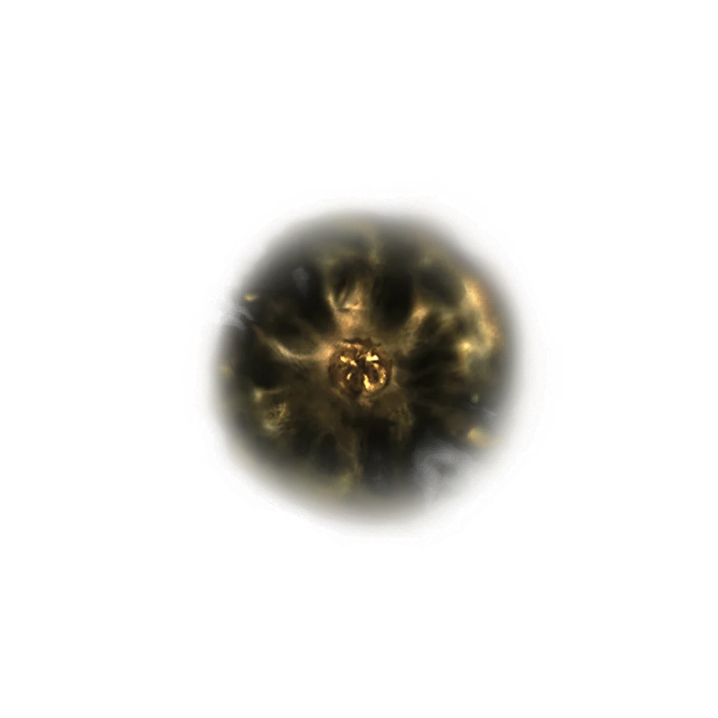 Shadow Realm Rune [1]