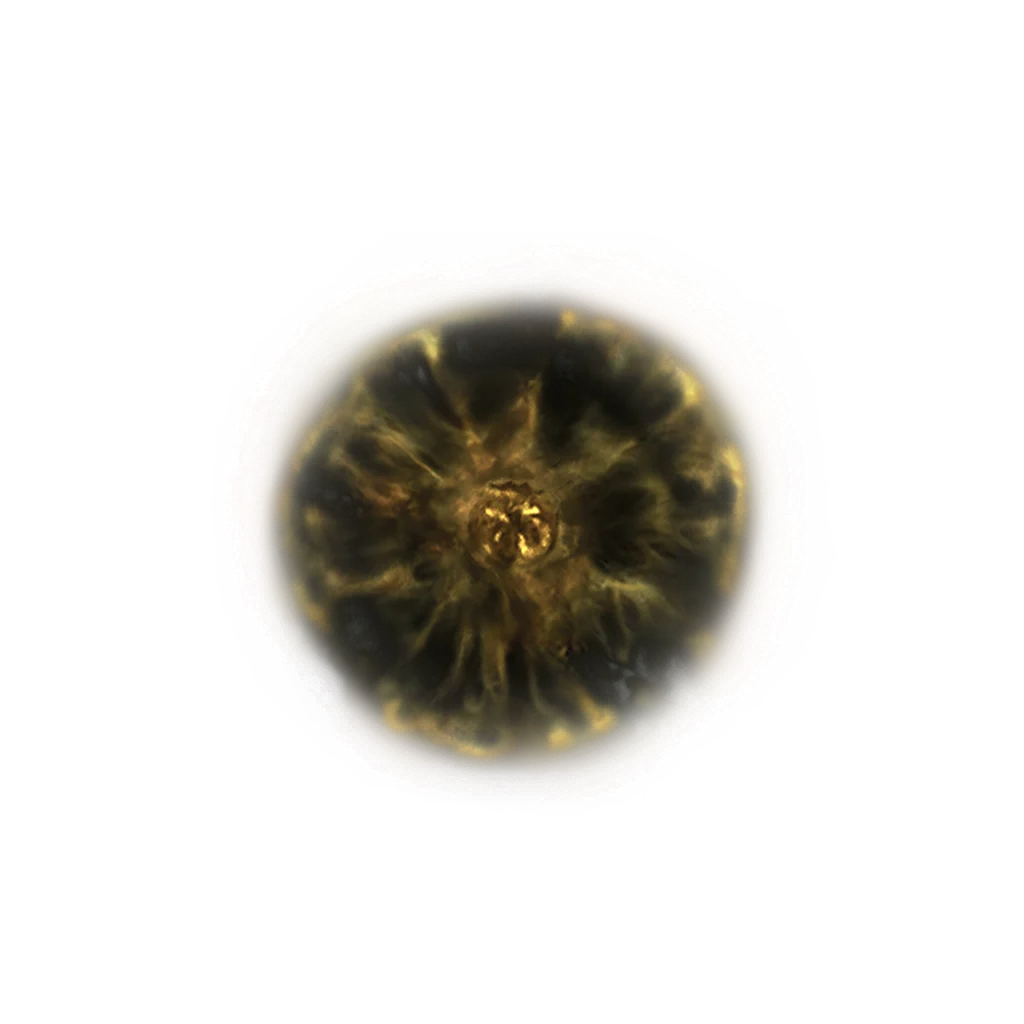 Shadow Realm Rune [2]