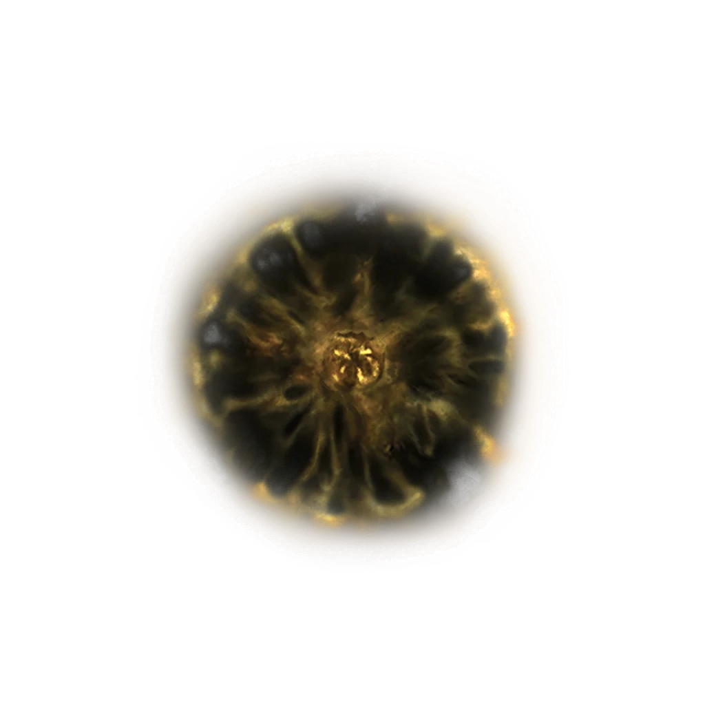 Shadow Realm Rune [3]