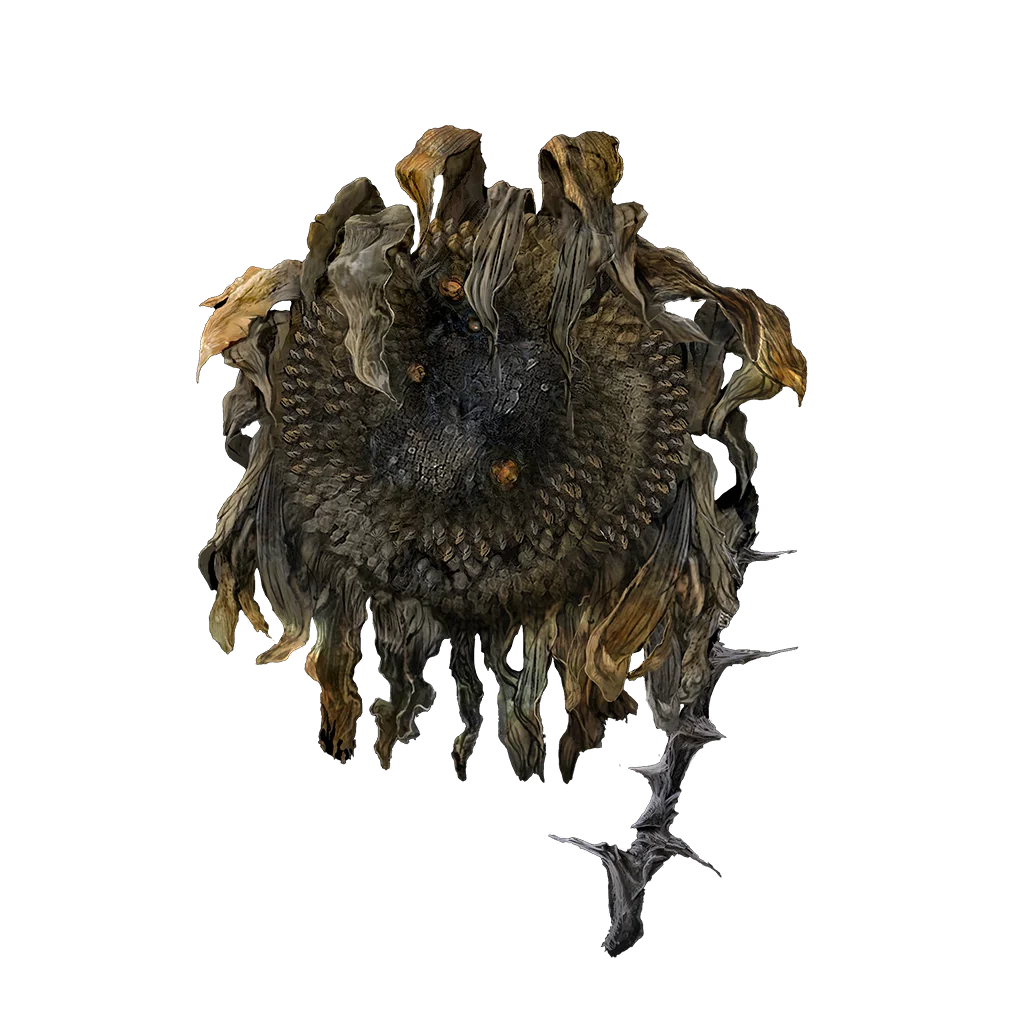 Shadow Sunflower