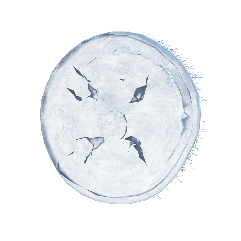 Jellyfish Shield