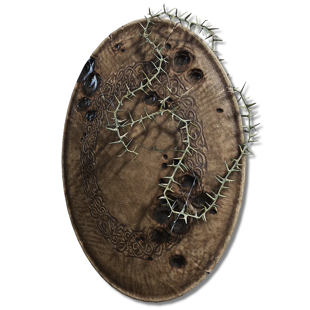 Marred Leather Shield