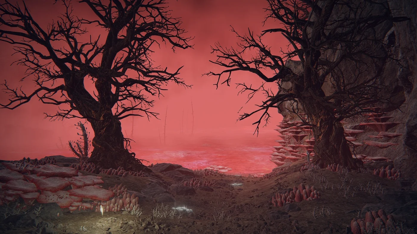 Lake Of Rot