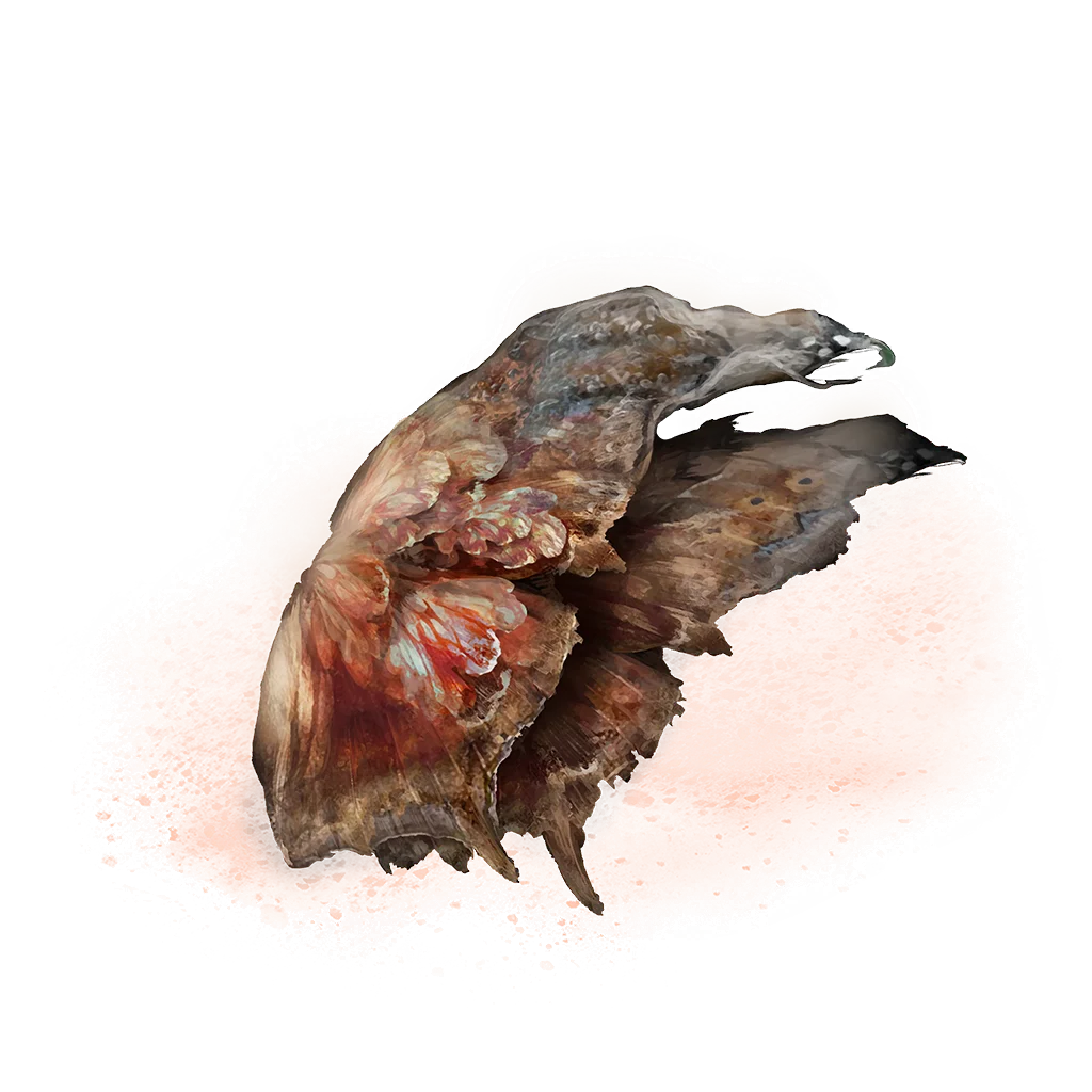 Aeonian Butterfly