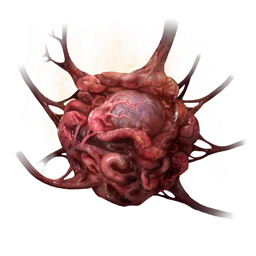 Alexander's Innards