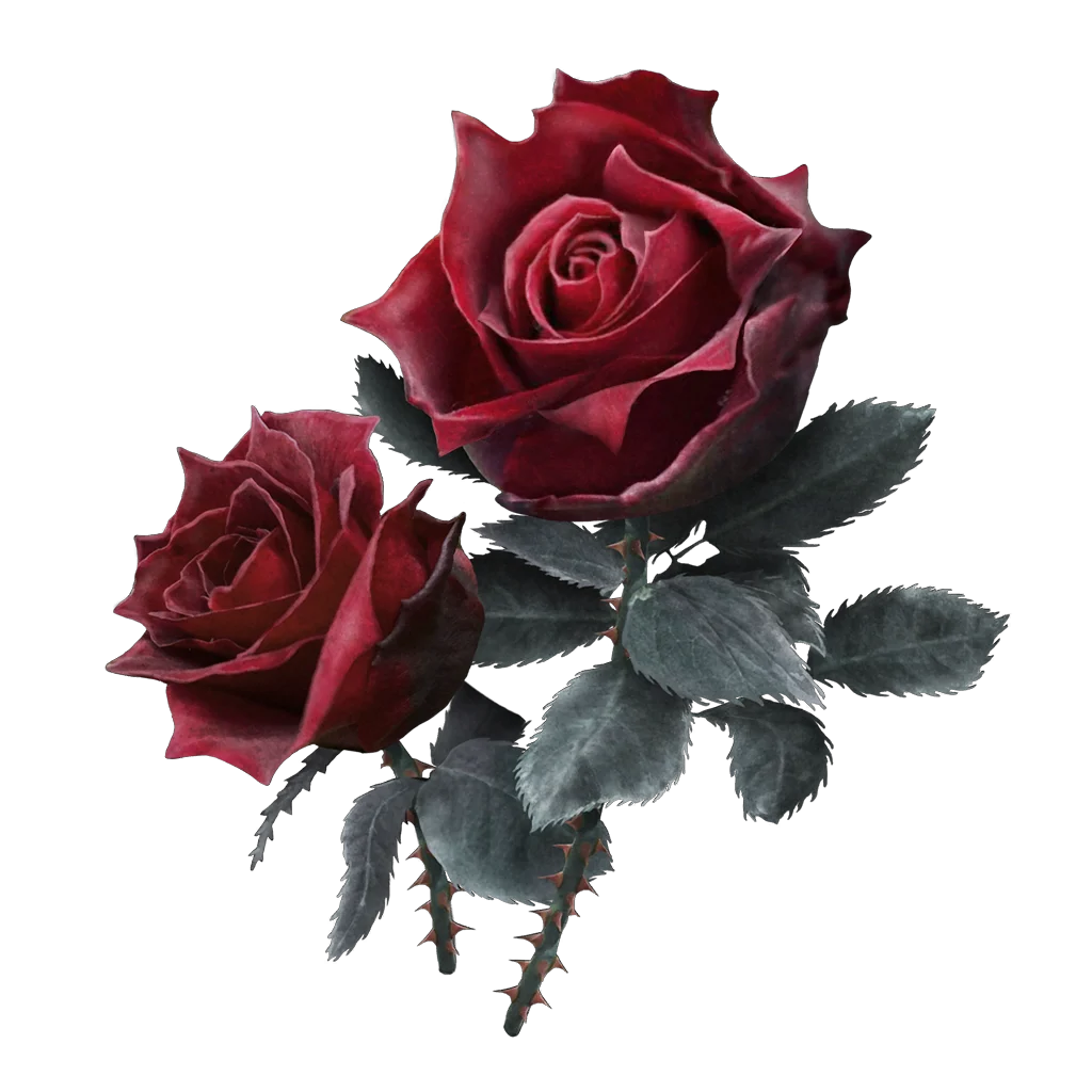 Bloodrose