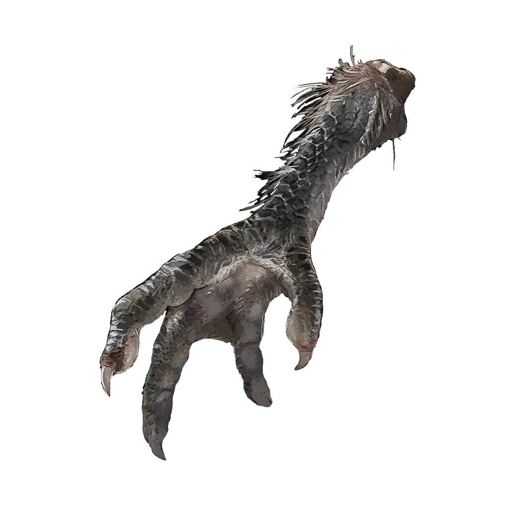 Four-Toed Fowl Foot
