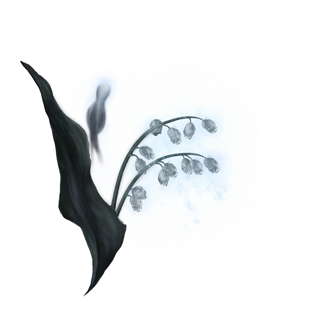 Ghost Glovewort [2]