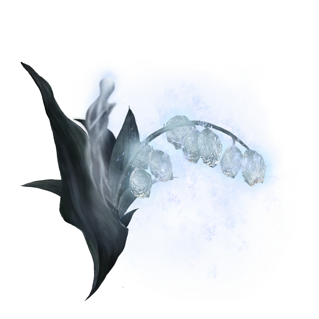 Ghost Glovewort [7]