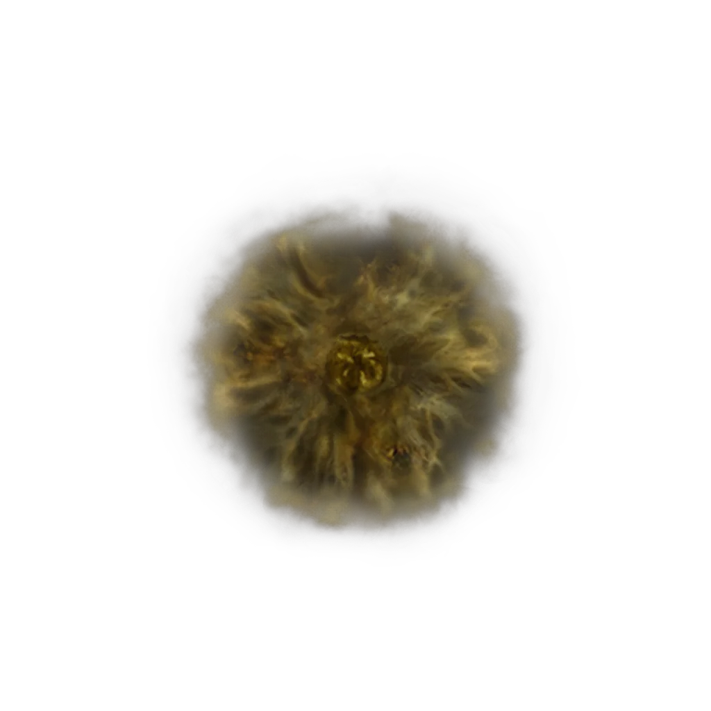 Golden Rune [10]