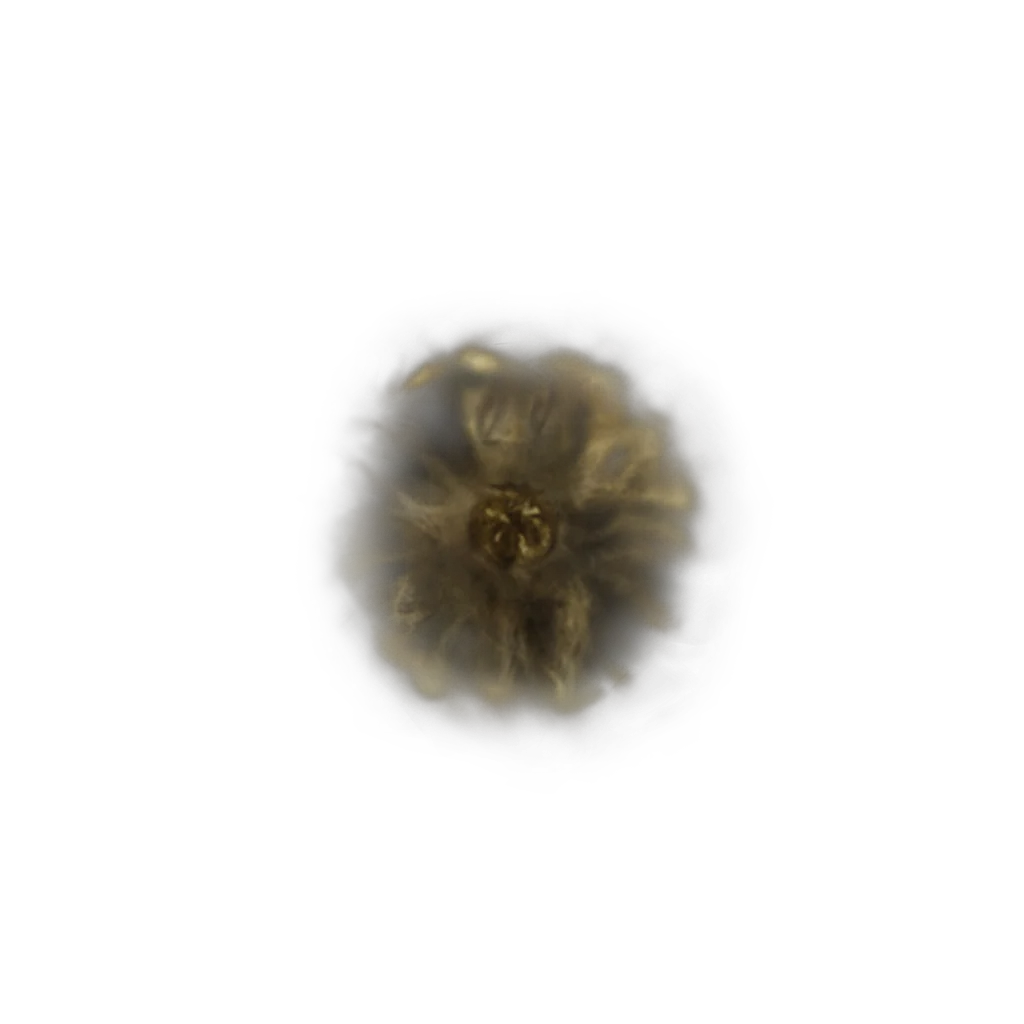 Golden Rune [6]
