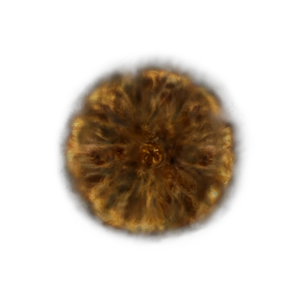 Hero's Rune [1]