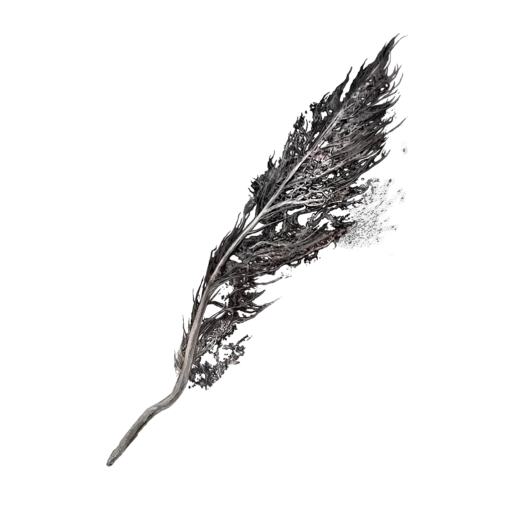Hidden Plumage