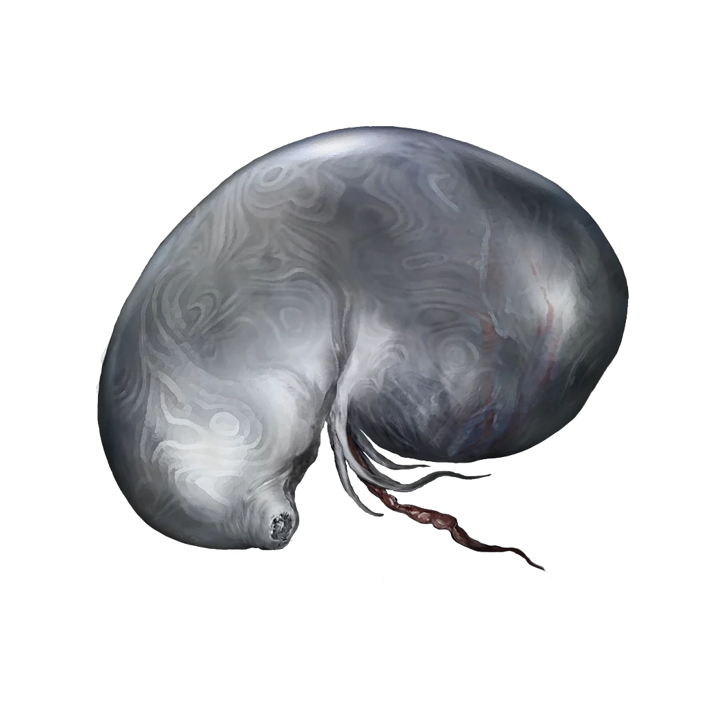 Silver Tears