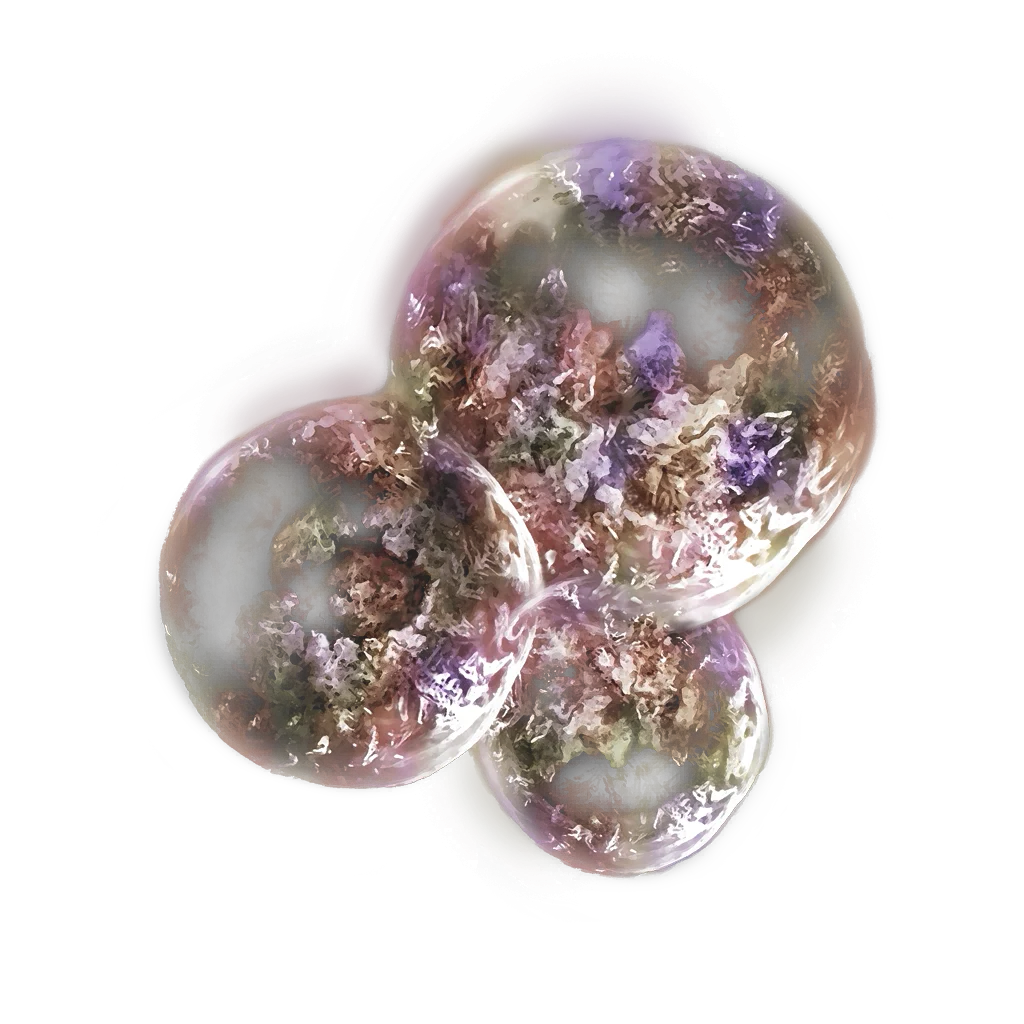 Speckled Hardtear