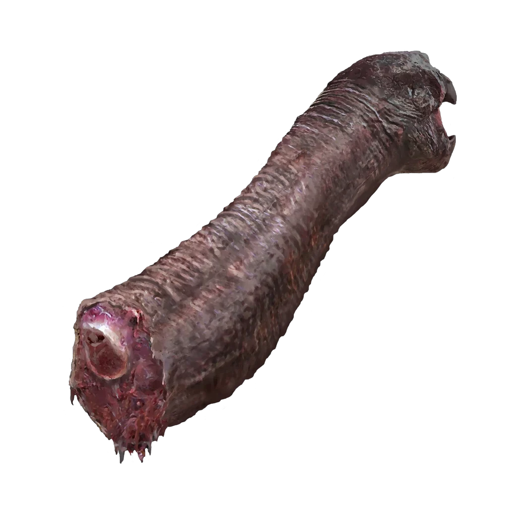 Turtle Neck Meat