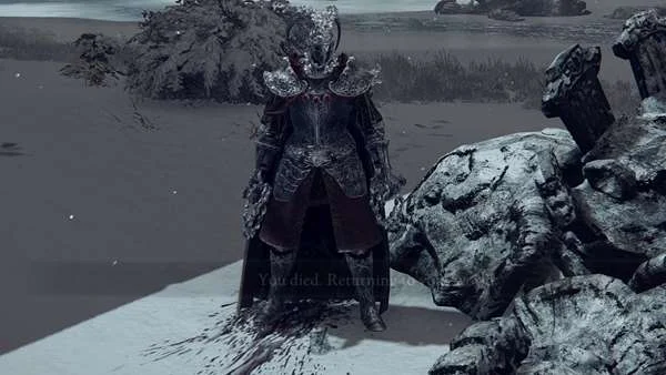 Pureblood Knights